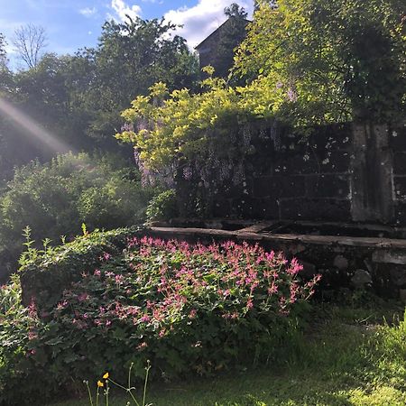 Le Figarelou Bed & Breakfast Thiezac Ngoại thất bức ảnh
