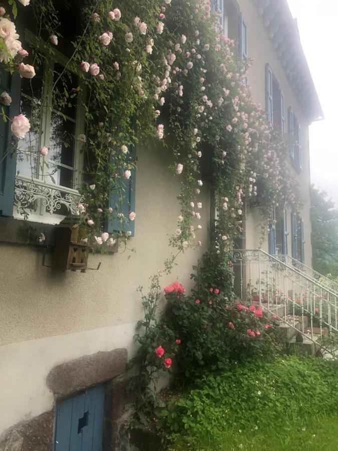 Le Figarelou Bed & Breakfast Thiezac Ngoại thất bức ảnh